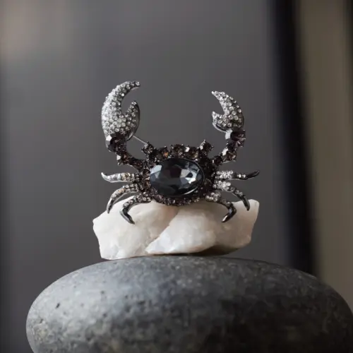 Broche Cangrejo Noir
